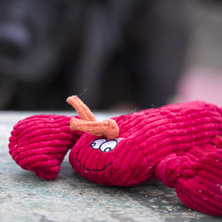 Lifestyle image of lobster shaped durable plush dog toy face: has a happy facial expression, goggly eyes, orange antennas, and red shell.