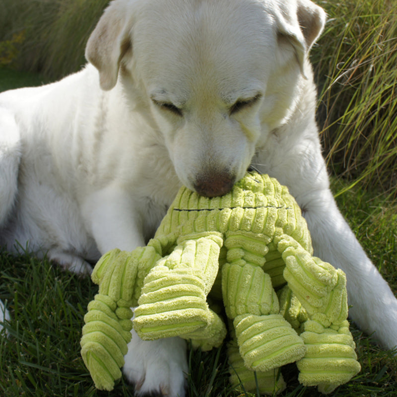 Lifestyle picture of Octavie Octopus Knottie. Pictured in the grass with a puppy.