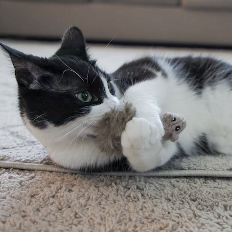 HuggleKats® Wee Squooshie™ Mice
