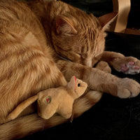 HuggleKats® Wee Squooshie™ Mice Thumbnail