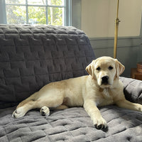 Quilted Waterproof Jersey Furniture Protectors Thumbnail