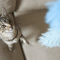 HuggleKats® Magic Wand Thumbnail