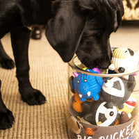 Ruff-Tex® Bucket of Balls (10 pieces of small Ruff-Tex® balls) Thumbnail