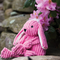 Lifestyle picture of Close-up of Bitsy Bunny. Pictured with pink flowers Thumbnail