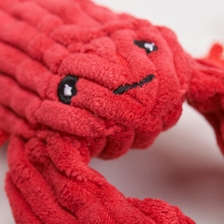 Close up of red lobster face showing corduroy texture and embroidered face details.