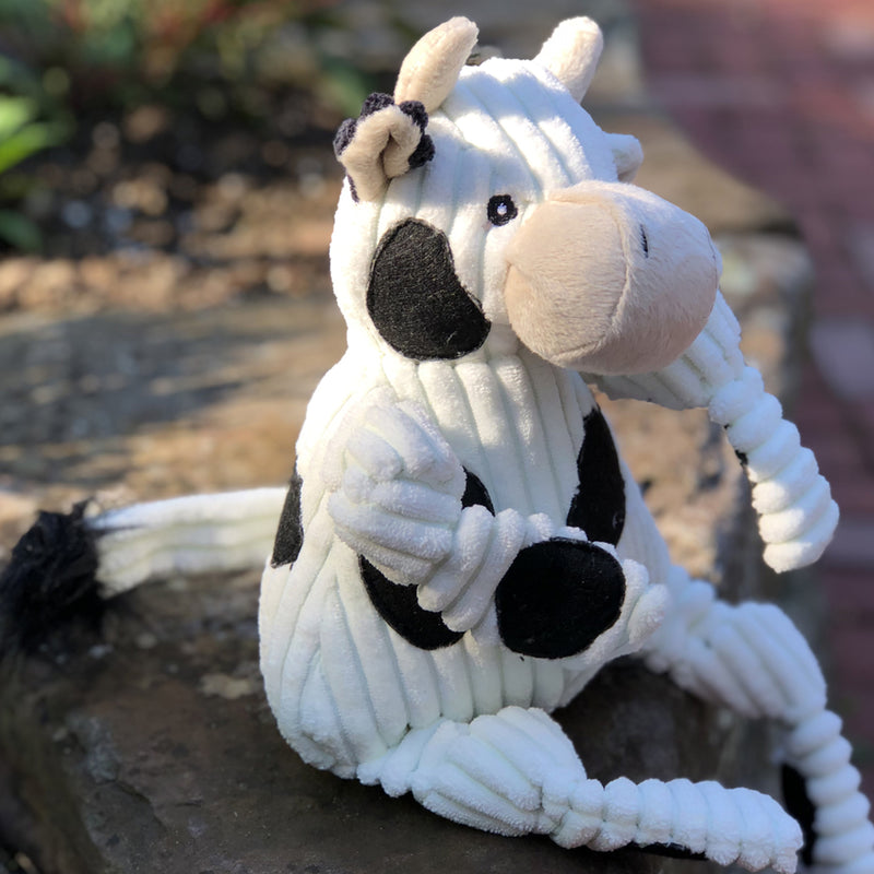 Lifestyle of Dottie Cow, on a stone ledge.