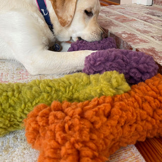 Lifestyle image taken from the side of the yellow furred lab chewing on the furry purple plush bone. With the green plush bone and orange plush bone next to it.