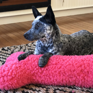 Black dog laying down on 2ft pink HuggleFleece® plush bone dog toy.