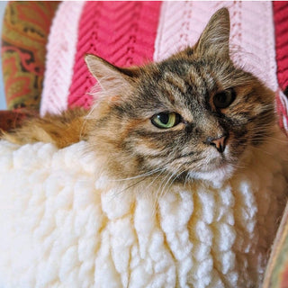 Close up of cat laying in XS sized natural colored HuggleFleece® dog/cat bed.