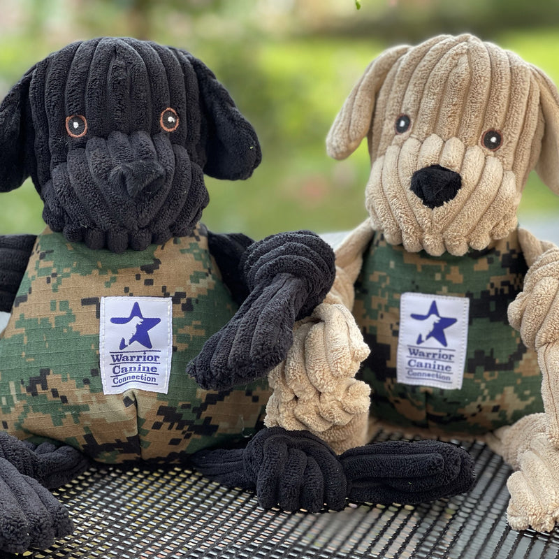 Lifestyle of Warrior Canine Connection Tommy ll Lab Knottie. With another Warrior Canine Connection Knottie. Pictured outside next to each other.