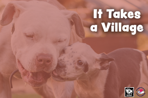 BADRAP: It Takes a Village