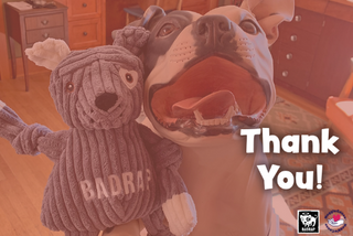 BADRAP: From the Bottom of Our HuggleHearts, Thank You