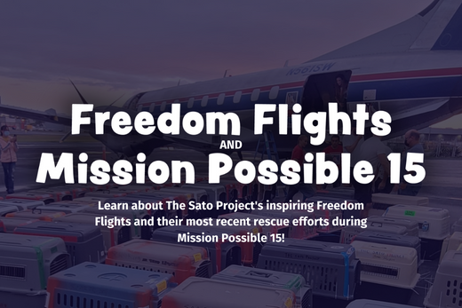 Freedom Flights & Mission Possible 15