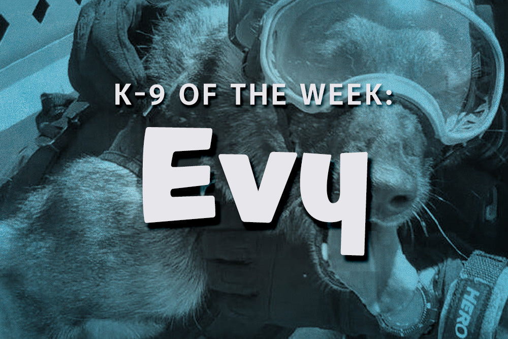 K-9 of the Week: Evy