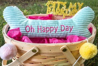 Happy Days to Celebrate with Your Dog