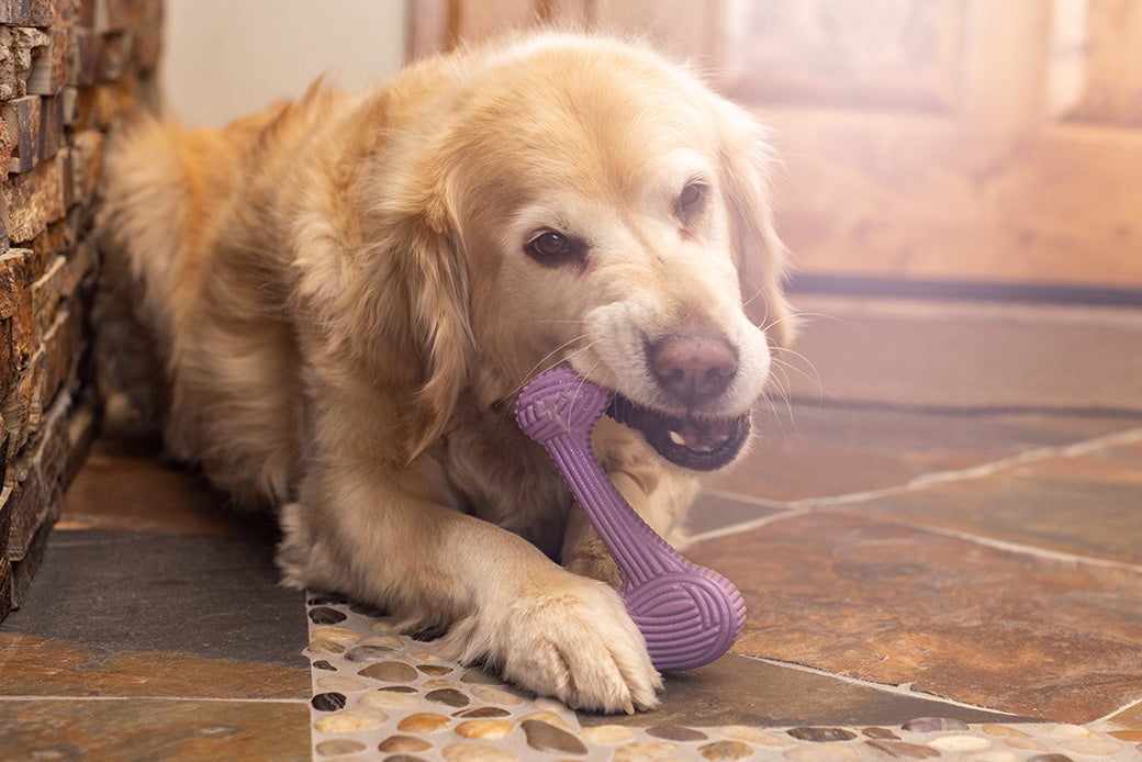 The Tuffut-Lon™ Chew Designed for Dogs