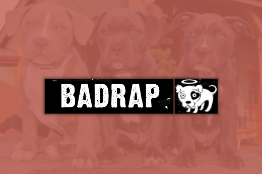 Introducing BADRAP: Our Next HuggleCause™ Initiative