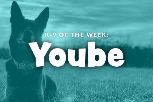K-9 of the Week: Yoube
