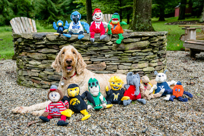 Dog sitting on gravel in front of stone wall posed with 12 collegiate Knotties® dog toys