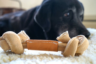 Brown HuggleHide® bone dog toy with dog laying down in background