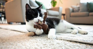 Black and white cat laying on floor playing with brown Wee Chippie and his acorn cat toy set