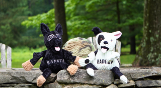 wo plush dog toys, the K-9 Mattis Knottie® and Bad Pittie Knottie®, sitting outdoors on a stone wall.