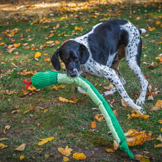 Sir Squeaks-a-Lot Snake Knotties®