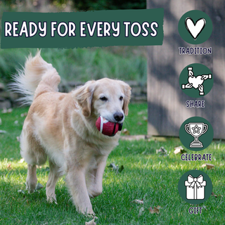 A golden retriever running on grass outdoors while holding a red and white football in its mouth. The image includes a dark green banner reading 'READY FOR EVERY TOSS' and a vertical list of icons labeled Tradition, Share, Celebrate, and Gift.
