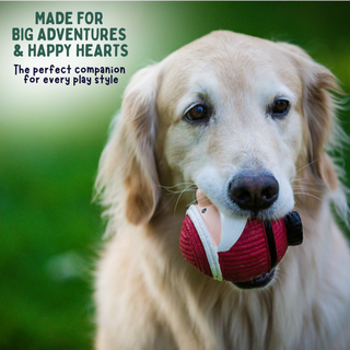 A golden retriever dog holds a red and white ball toy in its mouth against a blurred green outdoor background, with promotional text in the upper left reading 'MADE FOR BIG ADVENTURES & HAPPY HEARTS The perfect companion for every play style.'.