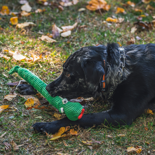 Sir Squeaks-a-Lot Snake Knotties®