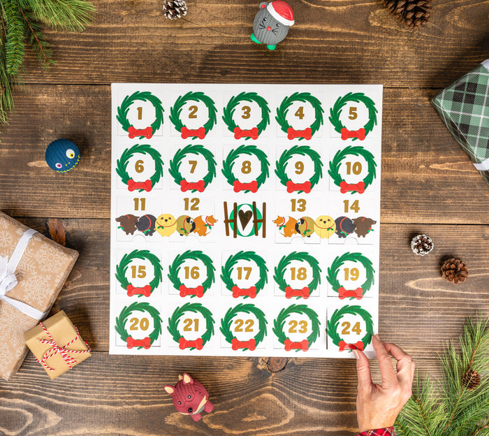 HuggleHounds® Built To Last Toys for Dogs Cats HuggleHounds® Built To Last Toys for Dogs Cats