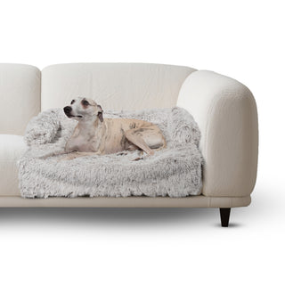View of white furred dog sitting on light-gray fluffy and soft dog bed on a white couch. 