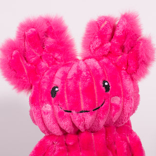 Close up view of magenta Axolotl face. Has black eyes, white pupils, black smile, and two fluffy ears. 