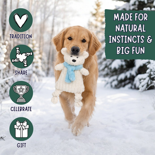 A golden retriever dog runs through the snow while carrying a cream knit teddy bear toy with a light blue scarf. The scene is outdoors in a snowy forest, with promotional text on the right reading 'MADE FOR NATURAL INSTINCTS & BIG FUN' and four circular icons on the left labeled Tradition, Share, Celebrate, and Gift.