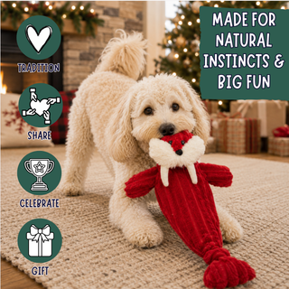 A cream-colored poodle lies on a beige rug holding a red knitted Christmas-themed dog toy in its mouth, with holiday decorations and wrapped gifts blurred in the background. Green circular icons on the left say Tradition, Share, Celebrate, and Gift, and a green box on the right says Made for natural instincts & big fun.