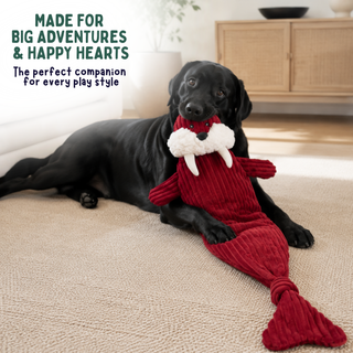 A black dog lies on a beige carpet in a bright room, holding a red walrus dog toy with a white fluffy face and tusks in its mouth. Text in the upper left reads, 'MADE FOR BIG ADVENTURES & HAPPY HEARTS The perfect companion for every play style.