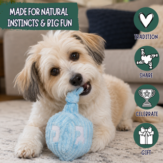 A small fluffy dog lies on a carpeted floor in a living room setting, chewing on a light blue textured dreidel-shaped dog toy. The image includes marketing text reading 'MADE FOR NATURAL INSTINCTS & BIG FUN' and four circular icons labeled Tradition, Share, Celebrate, and Gift.