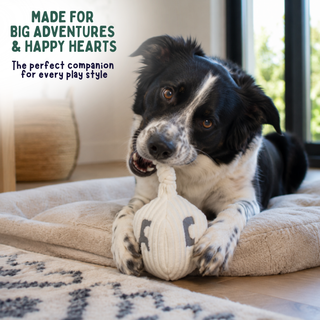 A black and white dog lying on a beige pet bed indoors, chewing on a white knitted ball toy with gray lettering. Text in the upper left reads, 'MADE FOR BIG ADVENTURES & HAPPY HEARTS The perfect companion for every play style.