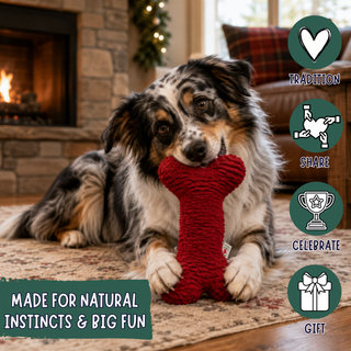 A long-haired Australian Shepherd lies on a patterned rug in a cozy living room, holding a red knitted bone-shaped dog toy in its mouth. The background shows a lit fireplace, a plaid couch cushion, and holiday decor.