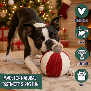 A black and white Boston Terrier dog is playing with a red and white ribbed rope ball toy in a cozy Christmas-themed living room. The image includes four circular icons on the right with the words Tradition, Share, Celebrate, and Gift, and a green banner at the bottom left that reads Made for natural instincts & big fun.