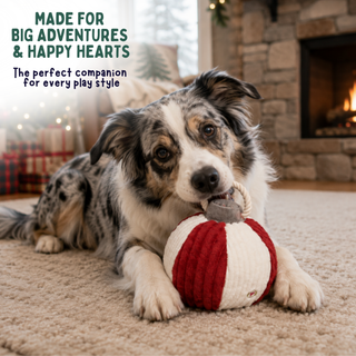 A dog lying on a carpeted floor in a cozy indoor setting, chewing on a red and white striped ball toy. Text in the upper left reads, 'MADE FOR BIG ADVENTURES & HAPPY HEARTS The perfect companion for every play style.