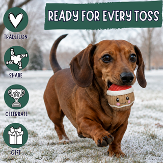A dachshund running outdoors on a snowy ground while holding a plush Christmas-themed dog toy in its mouth. The toy has a red and white striped top and a smiling face.