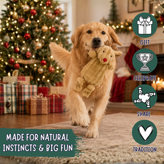 A golden retriever dog runs across a rug in a decorated Christmas living room, carrying a beige plush reindeer toy in its mouth. The scene includes holiday trees, wrapped gifts, and a vertical column of green icons labeled Gift, Celebrate, Share, and Tradition.