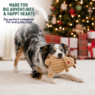 A black, white, and tan dog lies on a white carpet in a cozy holiday setting, holding a beige plush reindeer toy in its mouth. A decorated Christmas tree, wrapped gifts, and festive text appear in the background.