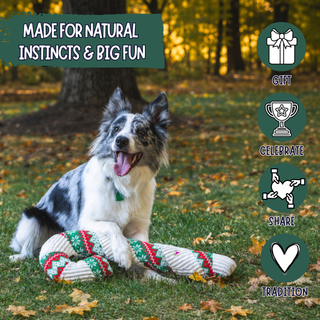 A black and white Border Collie lies on grass in a wooded outdoor setting, holding a knitted rope dog toy. The image includes marketing text reading 'MADE FOR NATURAL INSTINCTS & BIG FUN' and four circular icons labeled Gift, Celebrate, Share, and Tradition.