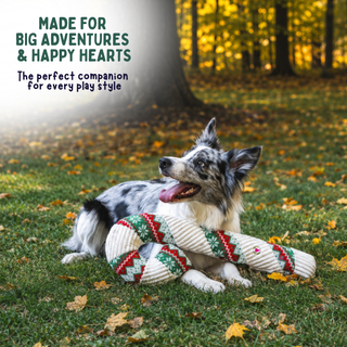 A black-and-white dog lying on grass in an autumn park, holding a long knotted dog toy with a cream base and red and green geometric patterns. Text in the upper left reads, 'MADE FOR BIG ADVENTURES & HAPPY HEARTS' and 'The perfect companion for every play style.