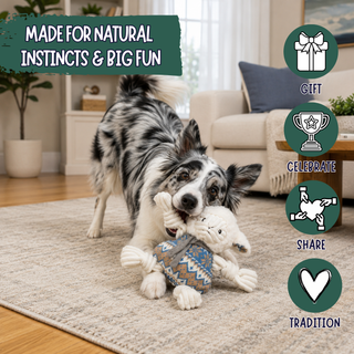 A black-and-white dog plays with a knotted plush sheep toy in a living room. A dark green banner reads “MADE FOR NATURAL INSTINCTS & BIG FUN,” and the right side has four green circular icons labeled Gift, Celebrate, Share, and Tradition.