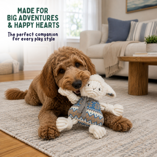 A brown fluffy dog lies on a light rug in a living room, holding a plush sheep toy. Text in the upper left reads, 'MADE FOR BIG ADVENTURES & HAPPY HEARTS' and 'The perfect companion for every play style.
