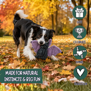 A black and white dog in an autumn park holding a purple and gray plush toy, with promotional text and icons on the right side of the image.