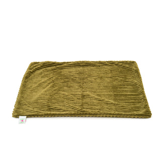 Olive colored scout blanket folded, and on the ground. 